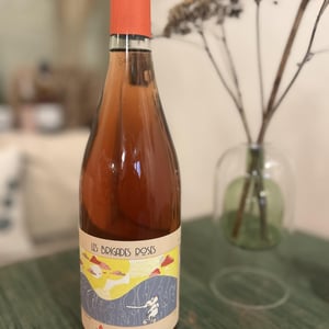 Les Brigades Roses - Les Abrigans - Laura Lees & Arthur Joly -2021