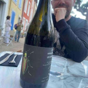 Les Brunelles - Domaine Ledogar - Xavier, Mathieu & Benoît Ledogar -2020
