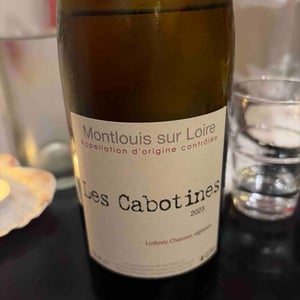 Les Cabotines - Ludovic Chanson - Ludovic Chanson 