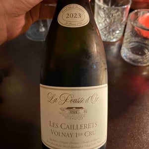 Les Cailleretes - Domaine De La Pousse D’or - benoit-landanger -2023