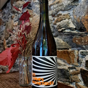 Les Champs Magnetiques 2021 - Val de Combrès - Valentin L. -2021