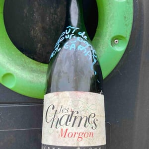 Les Charmes - Domaine de la Bonne Tonne - Thomas & Anne Laure Agatensi 
