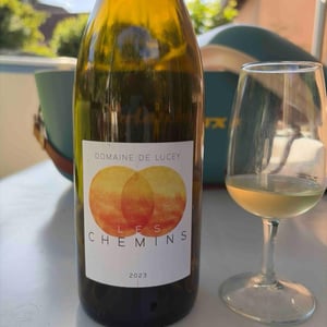 Les Chemins - Domaine de Lucey - anne-cecile-pflieger-erwan-buchwalter