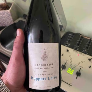 Les Cognaux - Champagne Ruppert-Leroy - Emmanuel Ruppert & Bénédicte Leroy