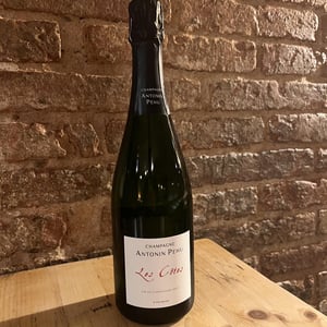 Les côtes - Champagne Antonin Pehu - David Pehu & Christine Fresnet 