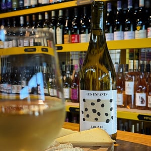 Les Enfants Le Blanc Sec - Domaine Laballe - famille-laudet -2025
