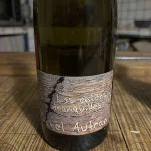 Les Enfers Tranquilles - Michel Autran - Michel Autran 