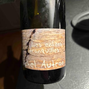 Les Enfers Tranquilles - Michel Autran - michel-autran