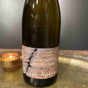 Les Enfers Tranquilles - Michel Autran - michel-autran