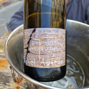 Les Enfers Tranquilles - Michel Autran - michel-autran