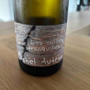 Les Enfers Tranquilles - Michel Autran - michel-autran
