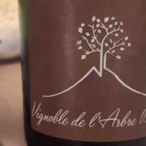 Les Fesses - Domaine de l'Arbre Blanc - Frédéric Gounan 