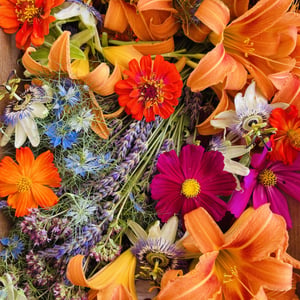 Les Fleurs Dans Vos Assiettes - Auberge des trois ami.es - 1363575