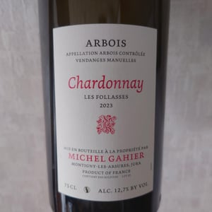 Les Follasses - Michel Gahier - Michel Gahier