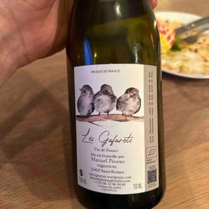 Les Gafarots - Manuel Pineau - Manuel Pineau 