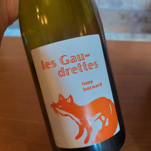 Les Gaudrettes - Domaine Bornard - tony-bornard