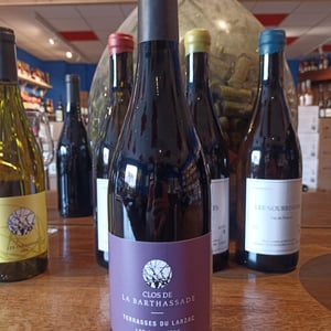 Les Gravettes - Clos de la Barthassade - Hélène & Guillaume Baron -2019