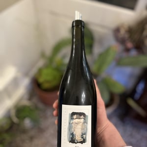 Les Juvéniles - Lias Chardonnay - Domaine Labet - julien-charline-romain-labet