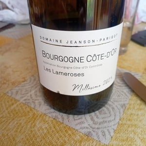 Les lameroses - Domaine Jeanson-Parigot - jeanson-parigot -2023