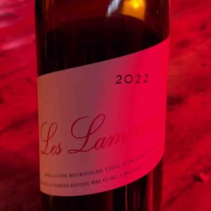 Les Lameroses - Domaine Rougeot Père et Fils - pierre-henri-marc-rougeot 