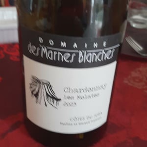Les Molates Chardonnay - Domaine Des Marnes Blanches - pauline-geraud-fromont
