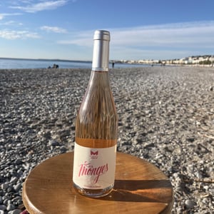 Les Monges (Rosé) - Domaine de la Mongestine - maxime-gamard-celine-harry-gozlan
