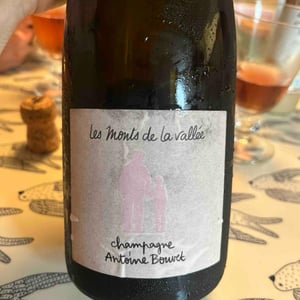 Les Monts De La Vallée - Champagne Antoine Bouvet - antoine-bouvet -2015
