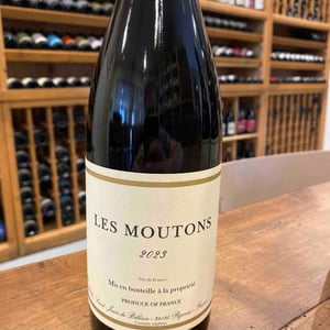 Les Moutons - Prieuré Saint Jean de Bébian - Benoit Pontenier -2020