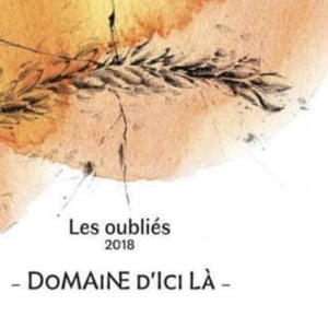 Les Oubliés - Domaine D'ici là - adrien-bariol