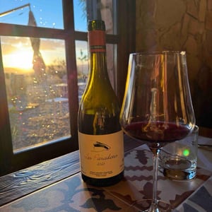 Les Paradetes - Celler Escoda Sanahuja - Joan Ramón Escoda Martinez