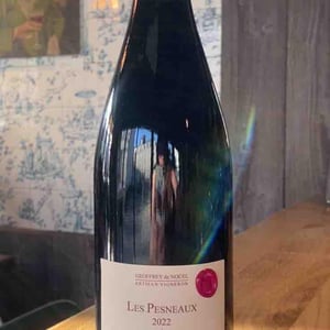 Les Pesneaux - Geoffrey De Nouel - geoffrey-de-nouel -2022