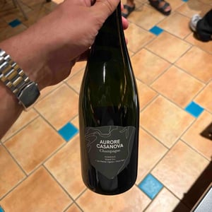 Les Petites Vignes - Aurore Casanova - aurore-casanova -2023