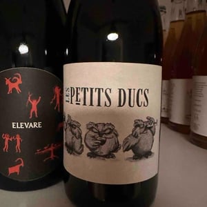 Les Petits Ducs - Domaine Grand Veneur - Alain Jaume -2020