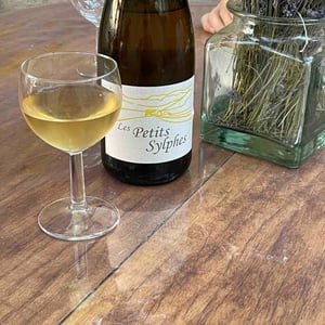 Les Petits Sylphes - Clos des Cimes - Elodie Aubert 