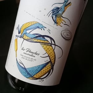 Les Pouches Macération (2021 label) - François Saint-Lô - François Saint-Lô 