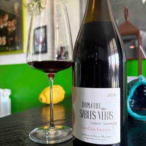 Les Poyeux - Domaine Des Sables Verts - caroline-meuree-herve-malinge