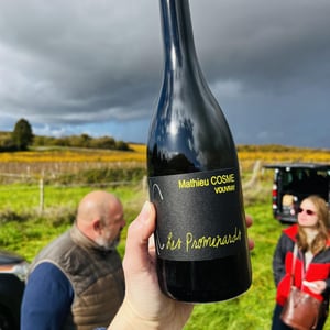 Les Promenards - Domaine de Beaumont - mathieu-cosme -2020