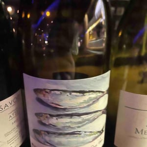 Domaine Robert-Denogent - Jean-Jacques, Antoine & Nicolas Robert - Mâcon-Villages "Les Sardines"