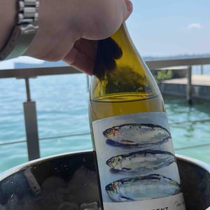 Les Sardines - Domaine Robert-Denogent - jean-jacques-antoine-nicolas-robert -2022