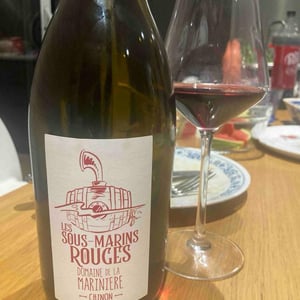 Les Sous Marins Rouges - Domaine De La Marinière - renaud-boris-desbourdes -2019