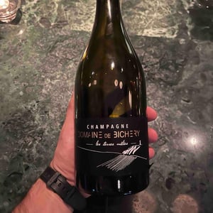 Les Terres Mêlées - Champagne Bichery - hannah-raphael-piconnet