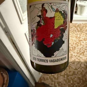 Les Terres Vagabondes - Le vignoble du Pagure - hugo-courvoisier