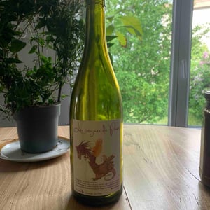 Les Trognes De Pinot - Domaine de la Côtelette - sandra-et-benoit-kilian