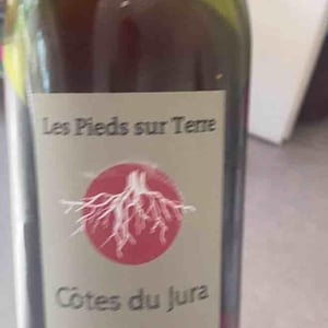 Les Trouillots - Les Pieds Sur Terre - Valentin Morel -2021