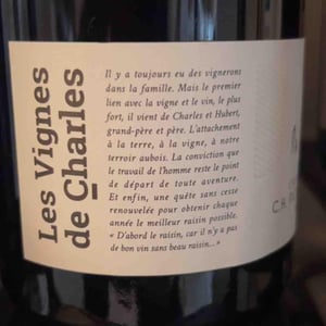 Les vignes de charles - Champagne Bichery - agathe-et-clement-piconnet -2017
