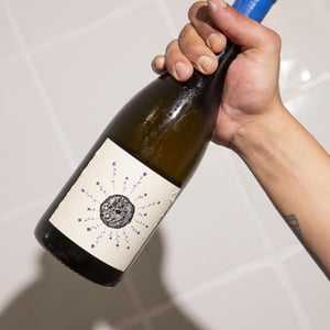 Leüto - Tenuta Foresto - Francesco Pozzobon -2023