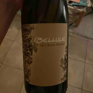 Libellule - Les Bois Perdus - Léna Perdu & Alexis Robin -2021