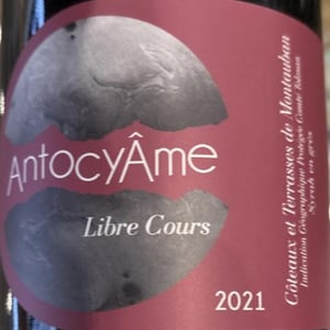 Libre Cours - AntocyÂme - Muriel Zoldan 