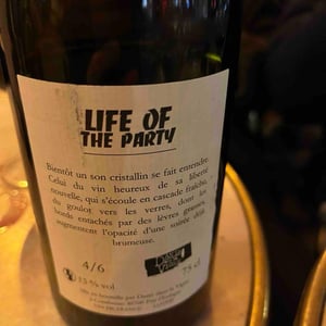Life of the Party - Danis Dans la Vigne - danis-bessieres