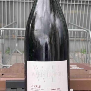 Lilyale - Waris-Hubert - olivier-stephanie-waris